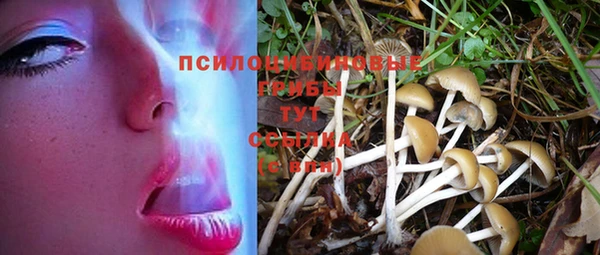 стафф Медногорск