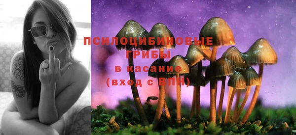бутират Лиски